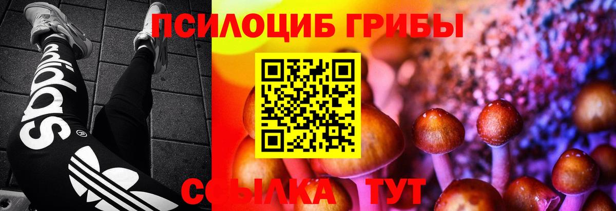 продажа наркотиков  Галлюциногенные грибы ЛСД  Псилоцибиновые грибы MAGIC MUSHROOMS  Вход с VPN  Уварово 